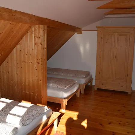 شقة Roseggerhaus *